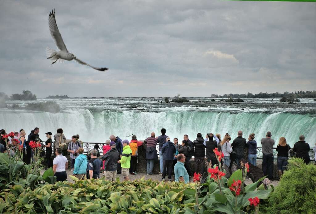 In November 2024, Canada revised its visitor visa policies, notably affecting multiple-entry visas. Previously, multiple-entry visas were commonly issued with a validity of up to 10 years, allowing travelers to enter and exit Canada multiple times without reapplying. Under the new guidelines, immigration officers now have increased discretion to determine whether to issue single-entry or multiple-entry visas and to set their validity periods based on individual circumstances. This means that multiple-entry visas may now be issued with shorter validity periods, tailored to the specific needs and profiles of applicants.