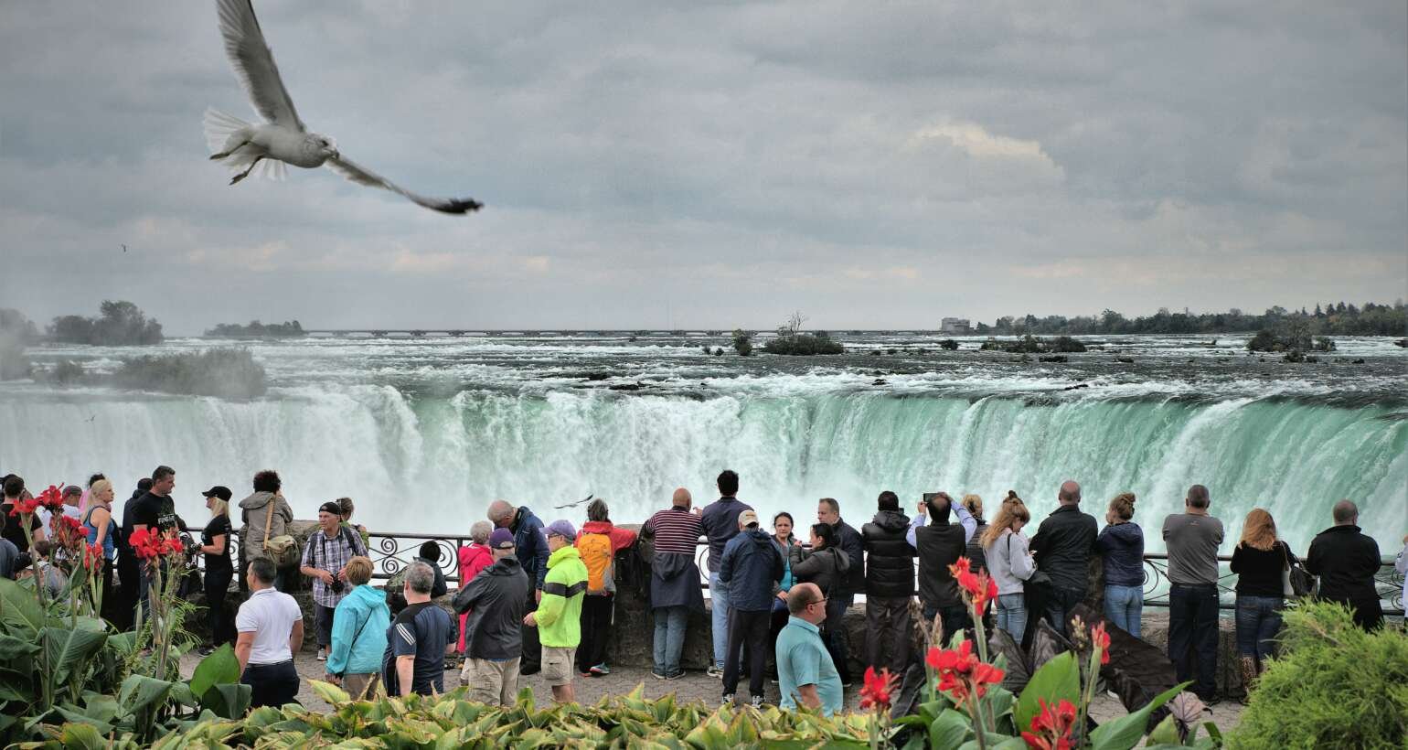 Canada Revises Visitor Visa Policies: Multiple-Entry vs Single-Entry