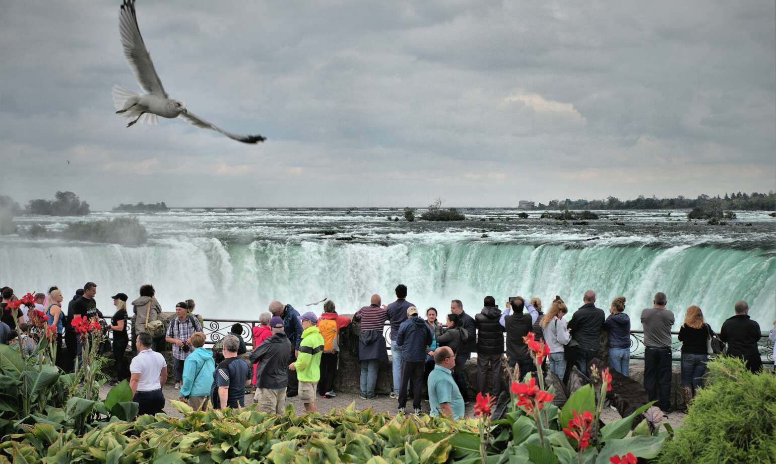 Canada Revises Visitor Visa Policies: Multiple-Entry vs Single-Entry