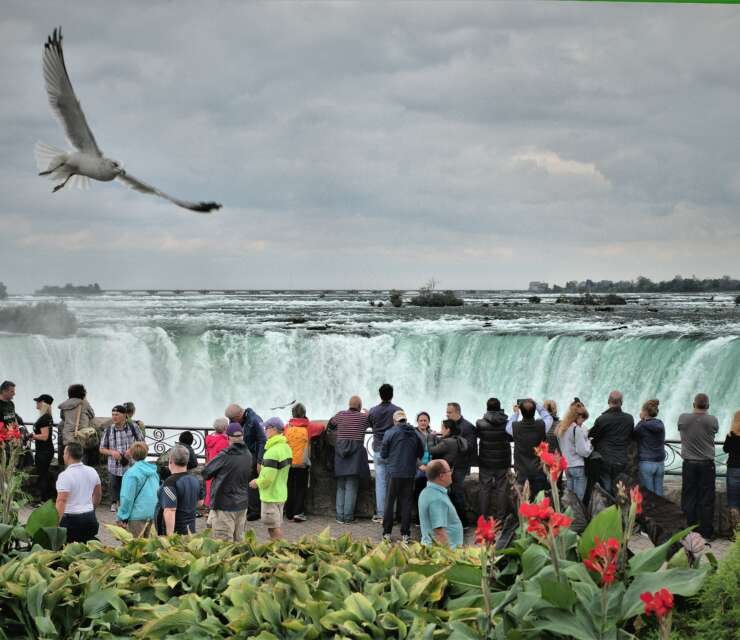 Canada Revises Visitor Visa Policies: Multiple-Entry vs Single-Entry